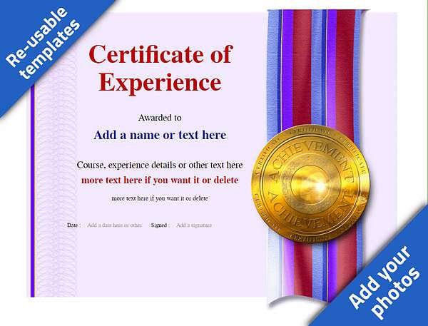 Work Experience certificate with gold medal