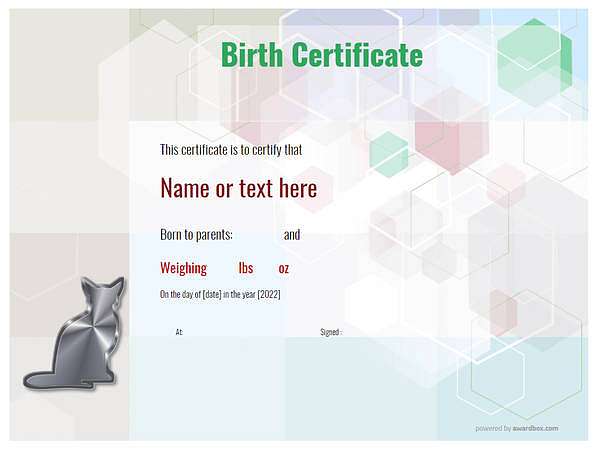 modern design birth certificate with silver cat