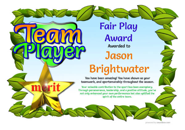 Fair Play sports award with colorful children's design and gold star emblem