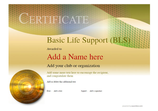 A professional certificate template for completing Basic Life Support (BLS) Certification, perfect for healthcare professionals. Free for commercial and home use.